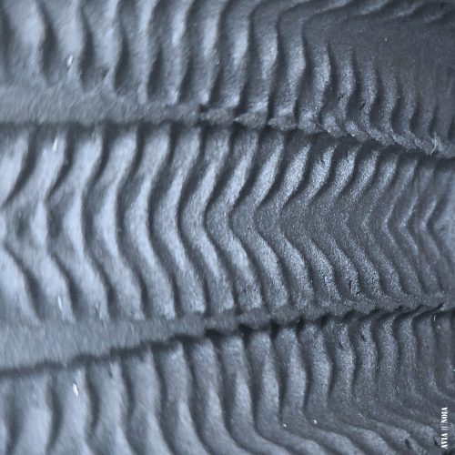 RIB_AVIANOIA_3DPRINTED18