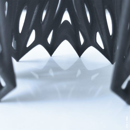 butterfly_12_avianoia_3dprinted