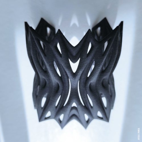 butterfly_1_avianoia_3dprinted