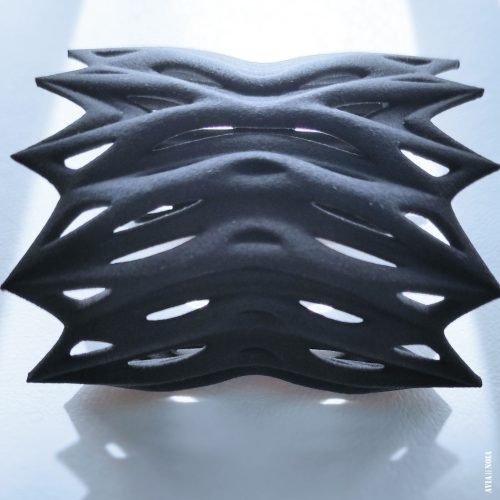 butterfly_4_avianoia_3dprinted