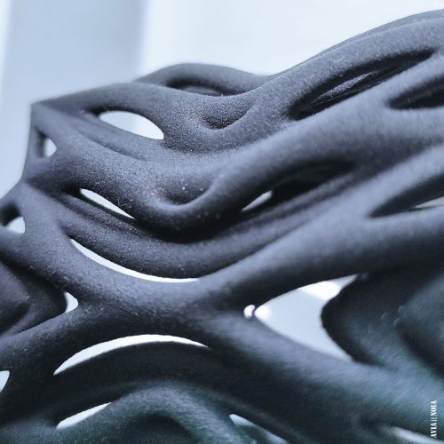 butterfly_5_avianoia_3dprinted