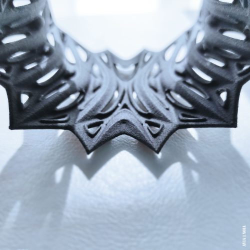 butterfly_7_avianoia_3dprinted